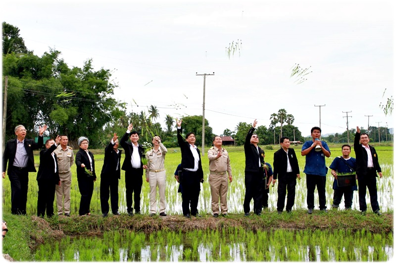 ﻿กรมบังคับคดีร่วมตรวจเยี่ยมวิสาหกิจชุมชนผู้ผลิตข้าวอินทรีย์อำเภอหนองฉาง จังหวัดอุทัยธานี